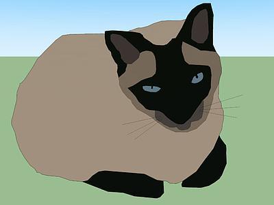 猫