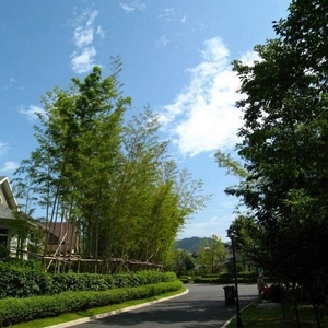 外景
