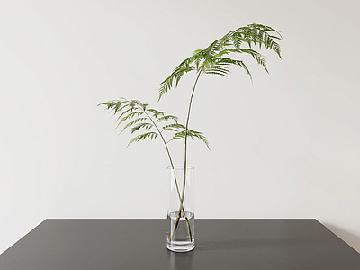 艺术绿植草本植物