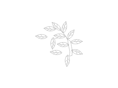 绿植 植物立面