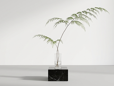 小型设计感绿植草本植物