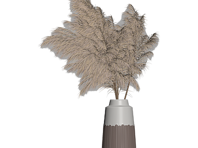 带花瓶芦苇装饰