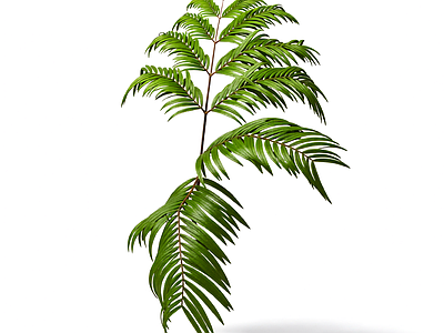 绿色枝叶植物模型
