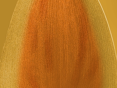 裂纹漆