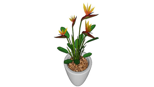 Flor Ave do Paraíso / Bird Of Paradise Flower 其他 美食 花