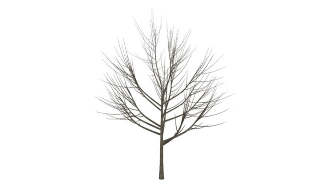 3D通用树03 - Winter Tree 其他 迷雾 画 草地