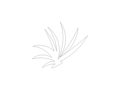 种绿植盆栽图块 植物