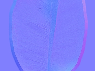 其他法线