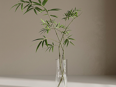 设计感桌面绿植竹子