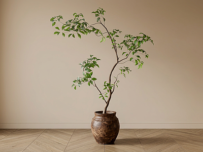 艺术绿植盆栽
