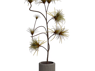 带盆多枝植物模型