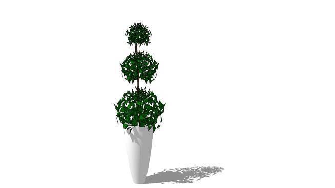 斯德哥尔摩盆栽 画 西兰花 其他 饰品 植物