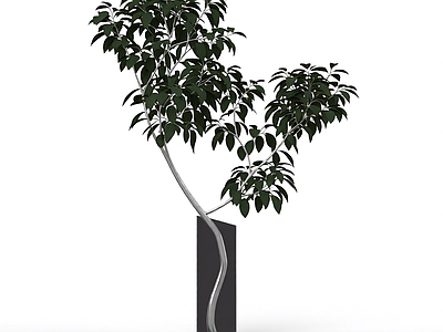 带枝叶的植物模型