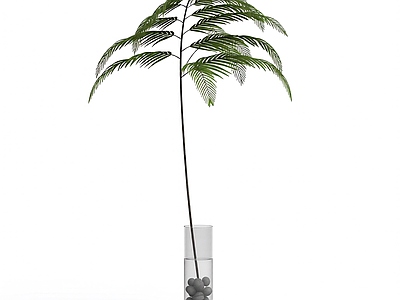 带盆绿植模型