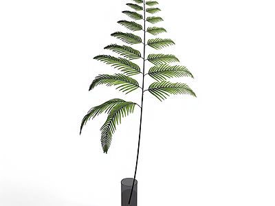 带盆绿植模型