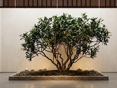 造型绿植室内景观