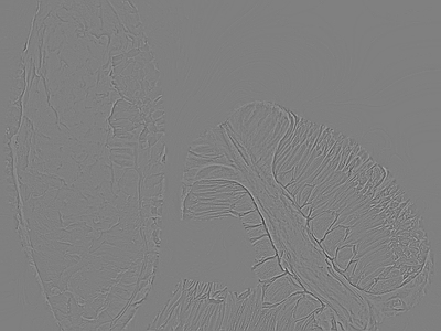 浮雕漆