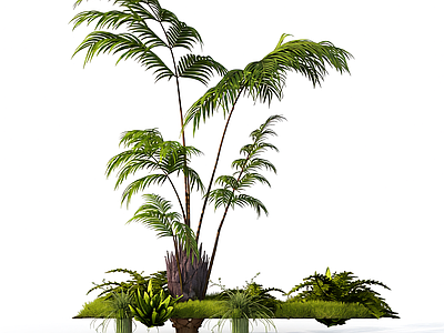 组合盆栽植物装饰