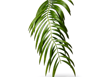 绿色植物枝叶模型