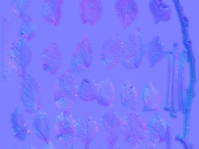 其他法线