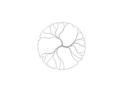 常用植物图例 龙爪桑