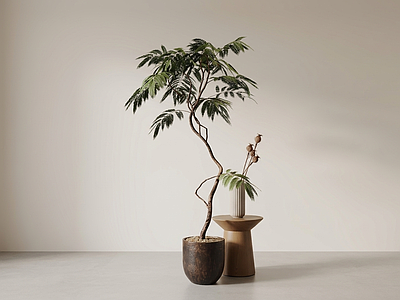 造型绿植盆栽