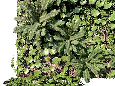 现代植物墙绿植墙