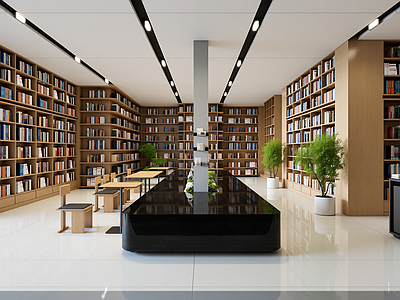 现代图书馆