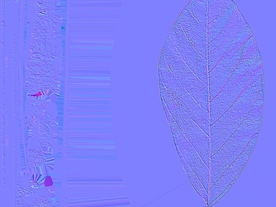 其他法线