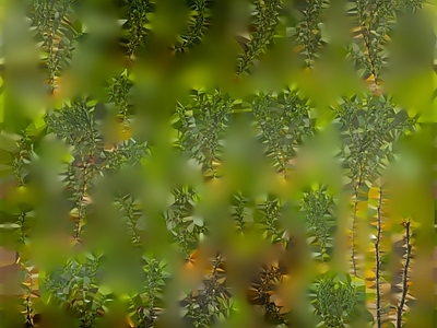 绿植墙