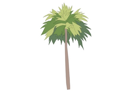2D棕榈科植物