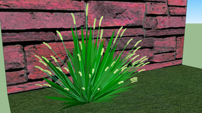 狼尾草属 花盆 家居物品 垃圾箱 扫帚