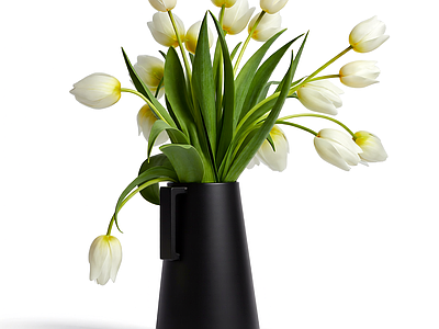 白色郁金香花束