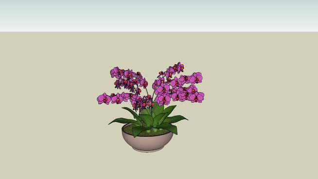 莲花17号 植物 其他 花瓶 花 画