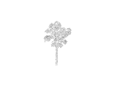 乔木种植 备用植物图例