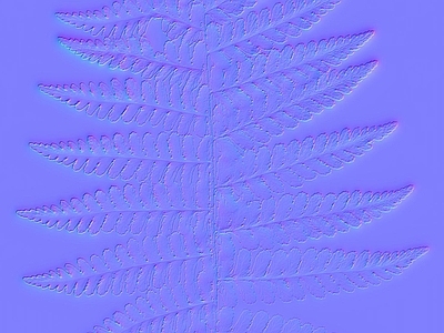其他法线