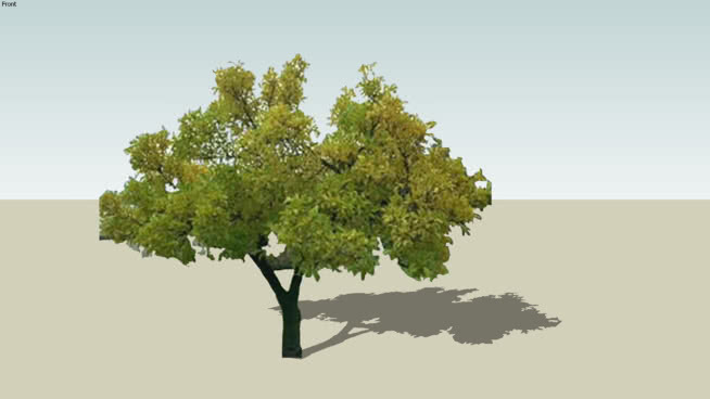 二维的植物 天空 沙漠 画 湖
