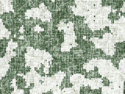 迷彩花纹布纹(2) 迷彩布