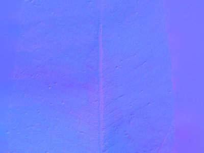 磨砂玻璃