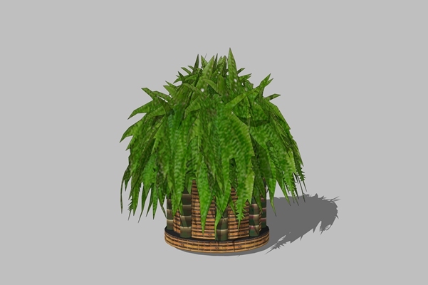 精品免费盆栽