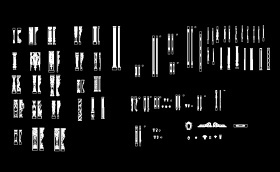 CAD罗马小柱图片 柱