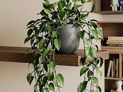 悬挂式绿植藤蔓