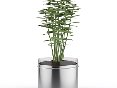 盆栽植物模型