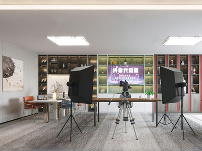 现代网红直播间 农产品