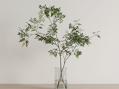 艺术绿植灌木