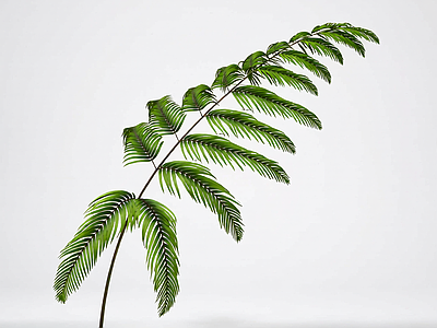 绿色枝叶植物模型