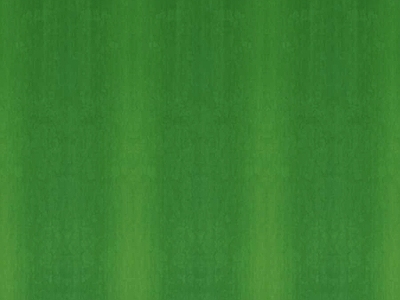 绿植墙