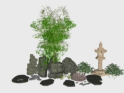 现代富贵竹子假山植物盆栽小品组合