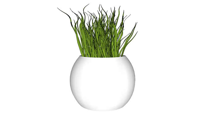植物内部 花瓶 饰品 其他 瓶子 植物
