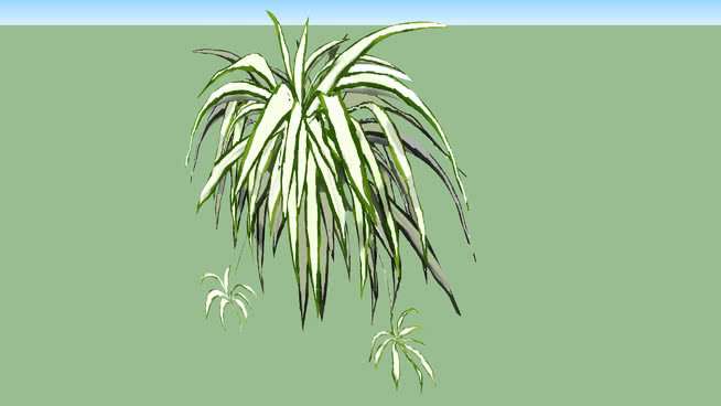 吊挂二维蜘蛛工厂 其他 植物 画 烟花